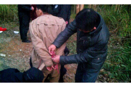 物业费怎样催收业主：有效策略与案例分析